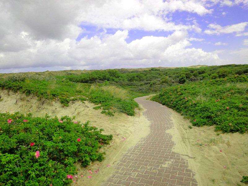 Farbenfroher Weg auf Borkum - Was gibt es schoeneres als eine Erkundungstour ueber die Insel