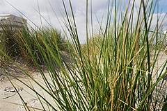Borkumer Strand.